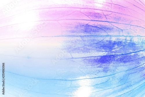 Abstract Pink and Blue Onion Skin Texture Close Up