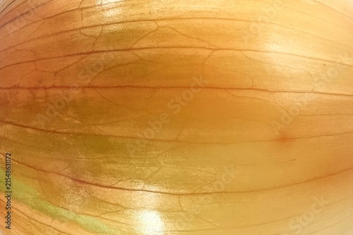 Abstract Golden Brown Onion Skin Texture Close Up