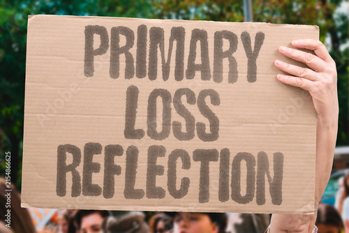 фотографія "Primary Loss Reflection" A primary loss reflection is shared by the defeated candidate