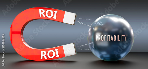 Fotografía Roi attracts Profitability