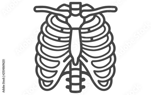 Foto Ribs line icon set, human skeletal anatomy illustration, vector thoracic cage sy
