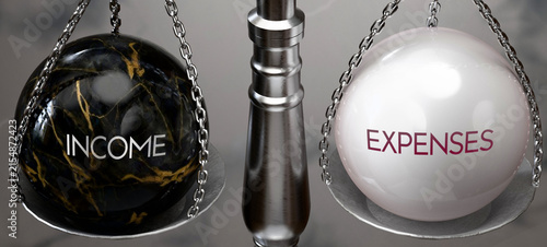 Income or Expenses - weighing two choices, available options. Choosing between income or expenses. Two different course of actions. ,3d illustration
