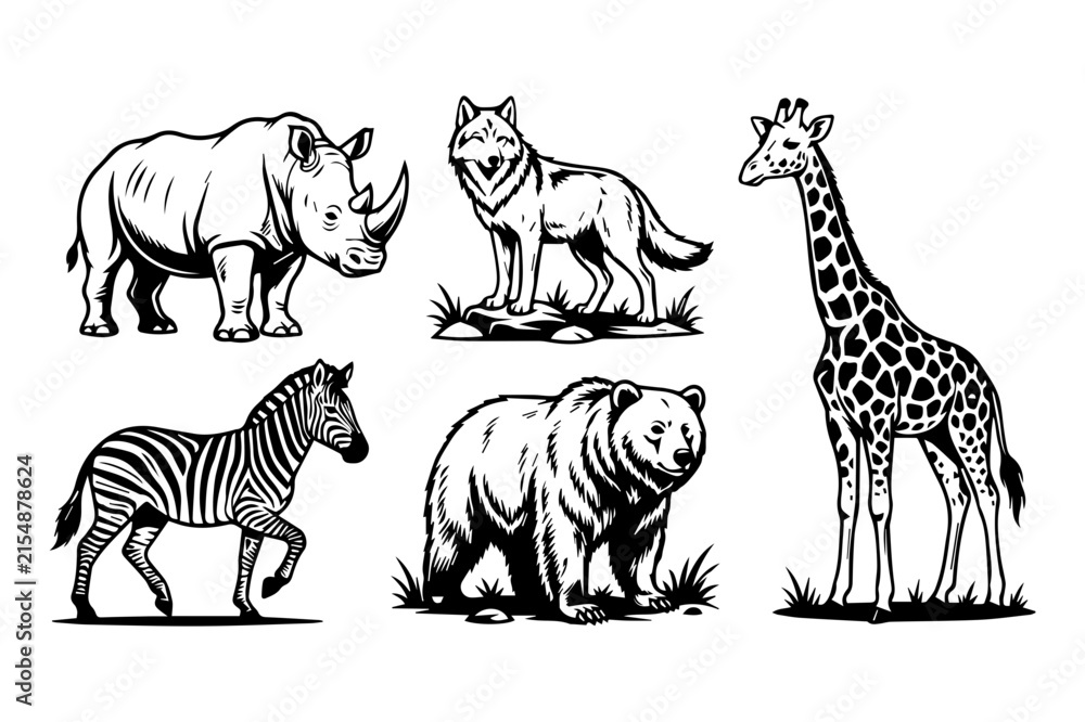 Obraz premium Animals vector set 