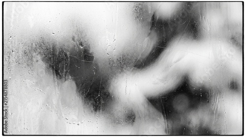 Abstract black and white image of blurred shapes and textures, possibly depicting natural elements through a distressed surface.