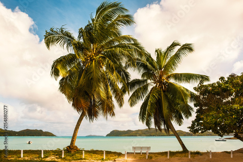 Coconut trees framing a turquoise bay and sandy beach at Anse Possession, Praslin, Seychelles