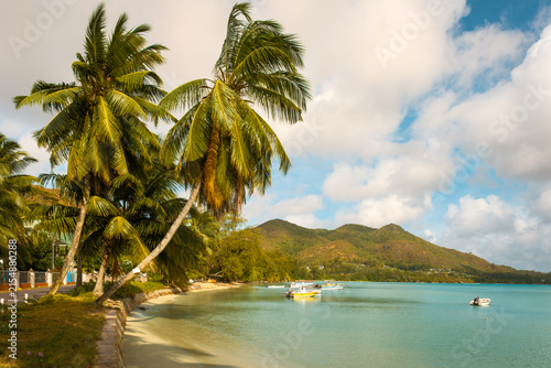 Coconut palms and turquoise water at Anse Possession, Praslin, Seychelles