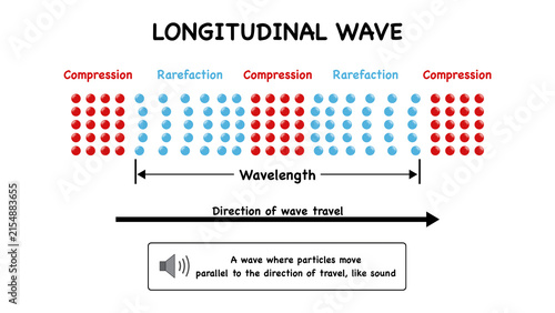 Educational school physics infographic diagram illustrates longitudinal wave properties including particle compression and rarefaction zones to demonstrate sound propagation dynamics