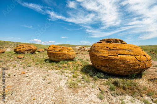 Fotografie Glacial erratics in a field of grass