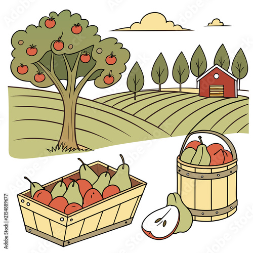 Apple orchard with a barn and baskets full of fresh apples and pears