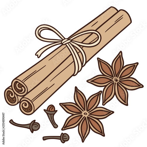 Cinnamon sticks tied with string and star anise with cloves spice collection illustration