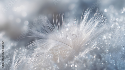 feather on the water