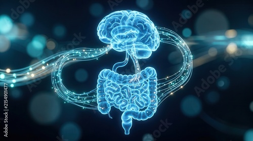 Glowing blue brain and intestine showing the gut-brain axis connection concept.