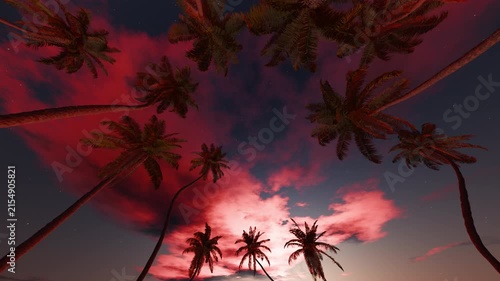 Horizontal palm circle around pink dusk clouds, static camera loop