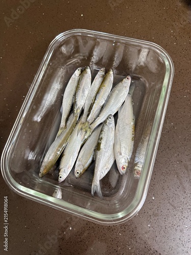 Fresh fish displayed in a glass container on a wooden surface  