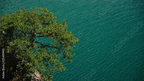 Green tree growing above the turquoise waters of Piva Lake in Montenegro. Minimal natural composition with rippling water and rocky shoreline