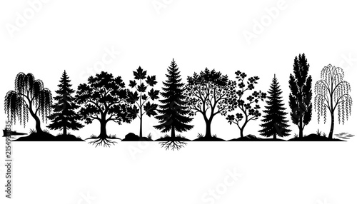 Trees Silhouette Vector Illustration with Roots in a Row on White Background