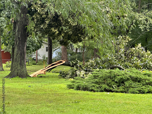 Broken tree in a park after a tornado in Northwest Indiana 