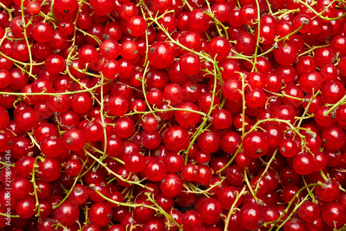 Foto Red currant berries clustered together on green stems, showcasing their vibrant