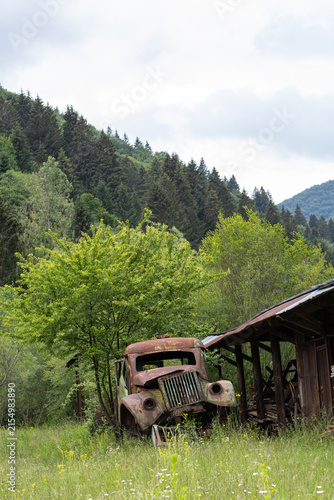 Foto A rusty vintage truck rests in tall green grass next to a wooden shed