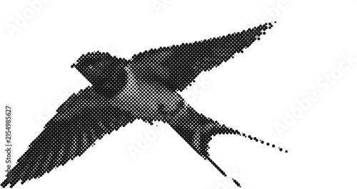 Barn Swallow flying silhouette isolated on white background, halftone graphic style