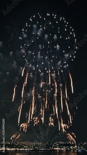 A stunning multi-colored fireworks display lighting up the night sky