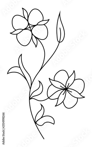Elegant black and white vector illustration of stylized cotton plant flowers with soft lines. Minimalist botanical logo and emblem design ideal for eco-friendly textile brands, natural skincare cosmet