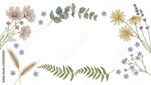 Watercolor floral frame with cosmos, daisies, lavender, and ferns isolated on a transparent background