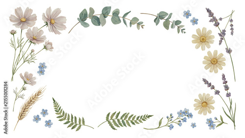 Watercolor floral frame with cosmos, lavender, and eucalyptus isolated on a transparent background