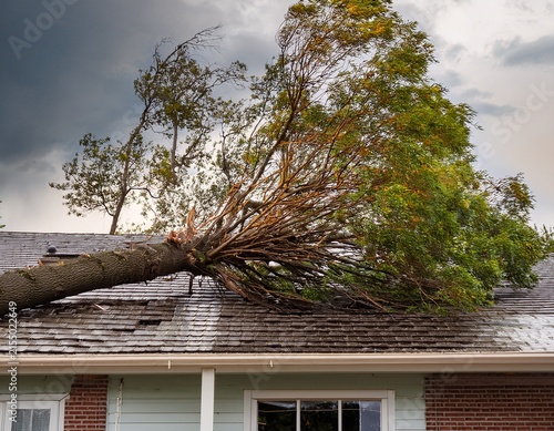 tree falls on a house roof during storm concept severe storm damage to a house with fallen tree and roof destruction