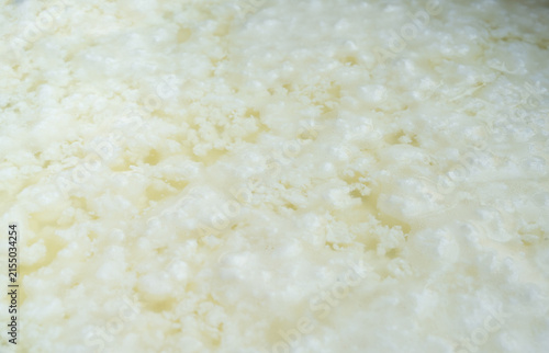 Fotografie Cottage cheese making, curd in whey texture closeup