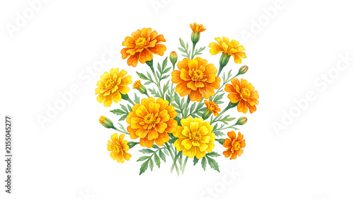 art Marigolds Floral a collection of watercolor marigolds flowers isolated on a transparent background generative ai