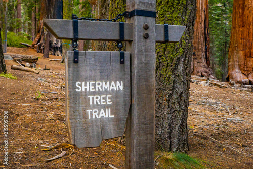 Sherman Tree trailhead sign at Sequoia Park