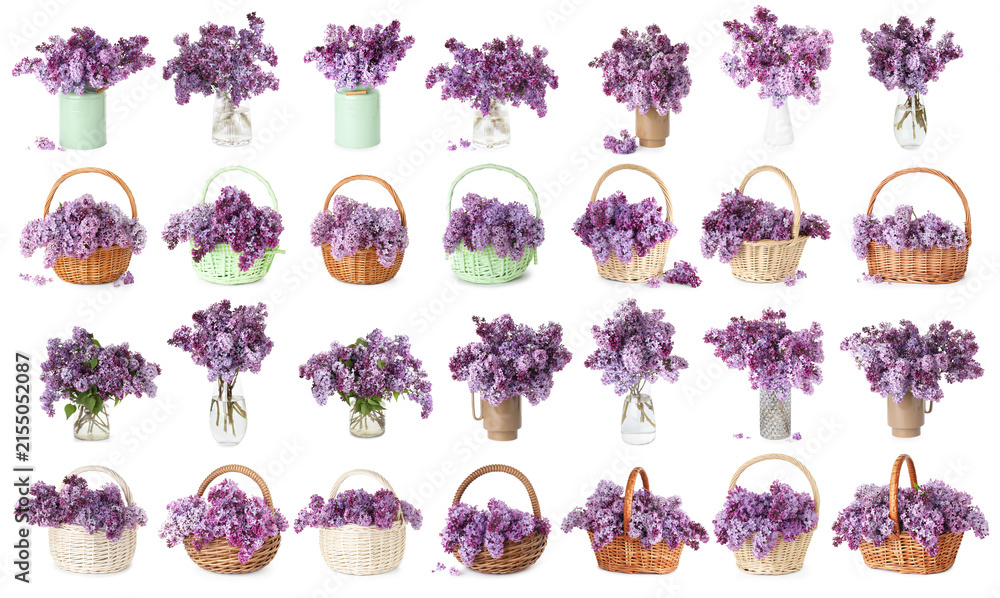 Fototapeta premium Beautiful lilac flowers in vases and wicker baskets isolated on white, set