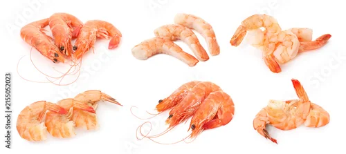 Obraz  z motywem Shrimps isolated on white, set. Tasty seafood