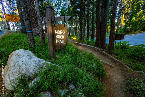 Obraz na płótnie Wooden sign marking Moro Rock Trailhead in Sequoia National Park