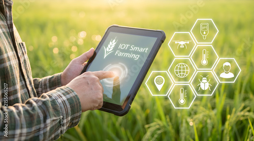 Farmer interacts with digital tablet, deploying advanced IoT smart farming technology for precision agriculture, optimizing crop yields and promoting sustainable cultivation