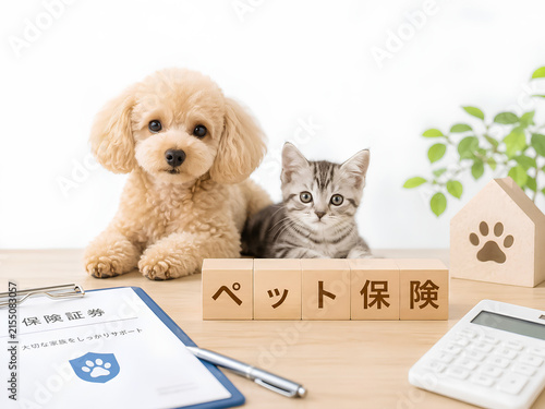 Fototapeta ペット保険