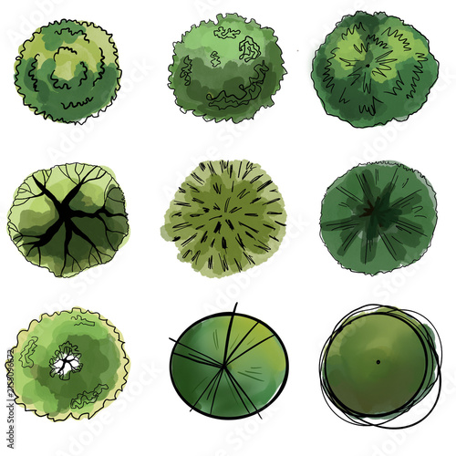 Top View Green Tree Set, Hand Drawn Landscape Sketch Elements