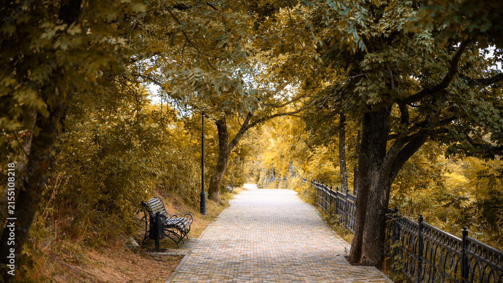 Obraz premium Paved walkway through an autumn park with yellow trees, Pyatigorsk, Russia. Empty stone path lined with fall foliage and a bench. Seasonal nature landscape in a public garden