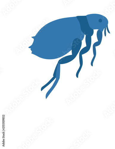 Blue flea jumping insect silhouette.