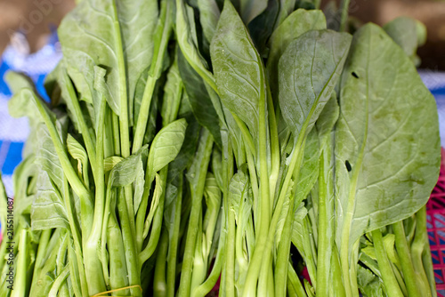 Fresh bundles of Chinese broccoli at a market
