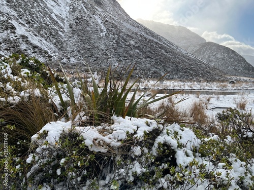 Arthur's Pass NZ