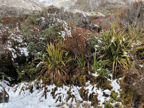 Arthur's Pass NZ 