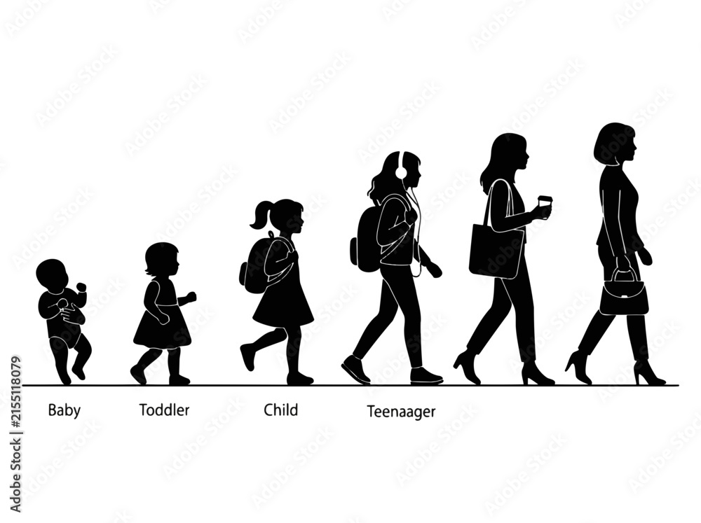 Obraz premium Human growth stages silhouette showing female development from baby to adult woman