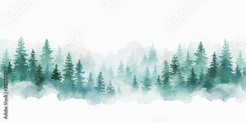 Snowy Christmas Tree Branches in Winter Forest with Frost, Blue Sky, and Serene Holiday Nature Landscape