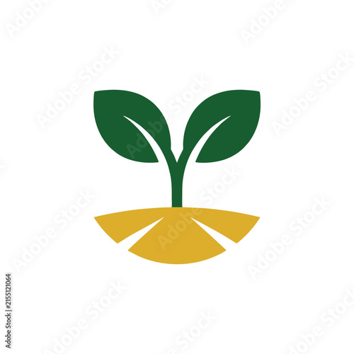 Quadro su tela New growth emerges from fertile soil representing the beginning of life and orga