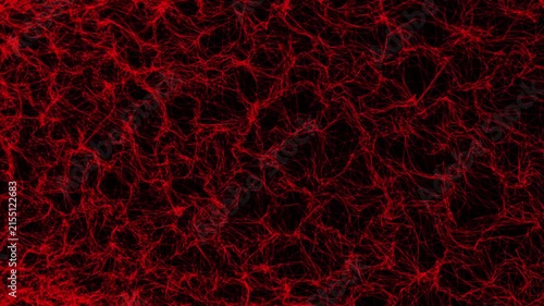 Abstract Red Network Lines Animation on Black Background