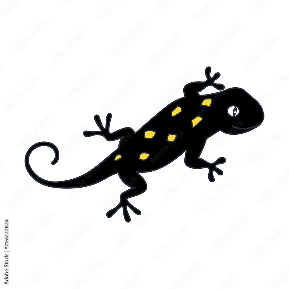 Fototapeta premium Cute Fire Salamander. Cool Amphibian. Hand drawn ilustration. Reptile in Black Yellow isolated on Transparent Background