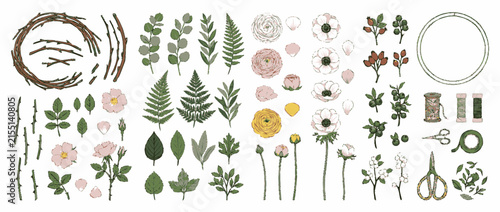 Botanical Elements Flat Lay Collection with Twigs and Flowers