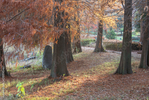 秋の公園